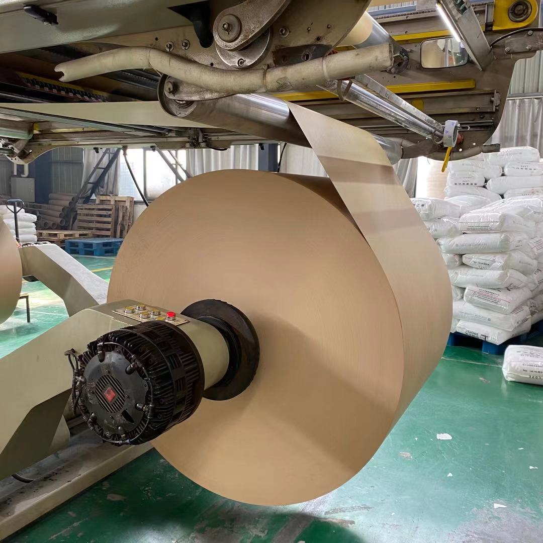 Folha de copo de papel kraft impresso biodegradável descartável para recipiente de alimentos